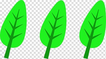 Autumn leaf color , Green Leaf transparent background PNG clipart