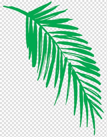 Autumn leaf color Green Light, Leaf transparent background PNG clipart