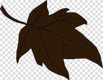Autumn leaf color , Hawaii Leaf transparent background PNG clipart