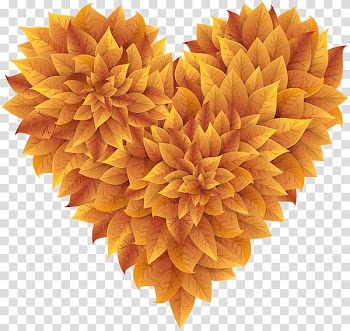 Autumn leaf color Heart , autumn leaves float down transparent background PNG clipart