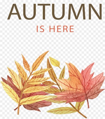 Autumn leaf color Illustration - Autumn has come 