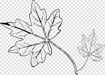 Autumn leaf color , leaf line transparent background PNG clipart