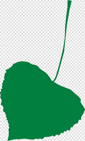 Autumn leaf color , Leaf transparent background PNG clipart
