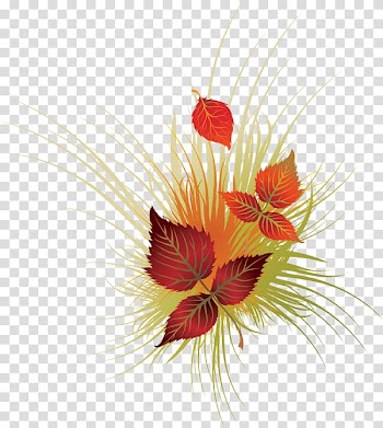 Autumn leaf color , Leaf transparent background PNG clipart