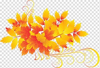 Autumn leaf color , Leaf transparent background PNG clipart