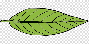 Autumn leaf color , Leaf transparent background PNG clipart