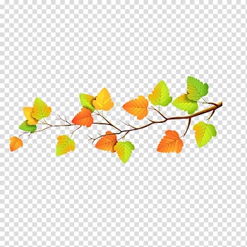 Autumn leaf color, Leaf transparent background PNG clipart