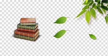 Autumn leaf color, Leaves with book transparent background PNG clipart