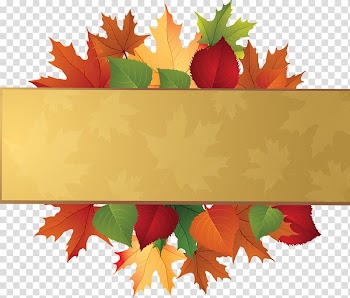 Autumn leaf color , look transparent background PNG clipart