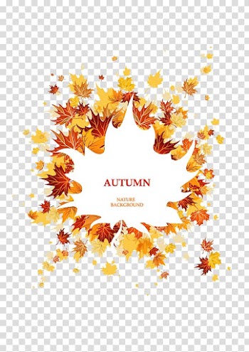 Autumn leaf color Maple leaf, Autumn leaves transparent background PNG clipart