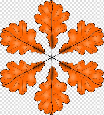 Autumn leaf color Maple leaf , autumn leaves transparent background PNG clipart