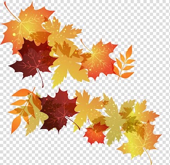 Autumn leaf color Maple leaf, autumn transparent background PNG clipart