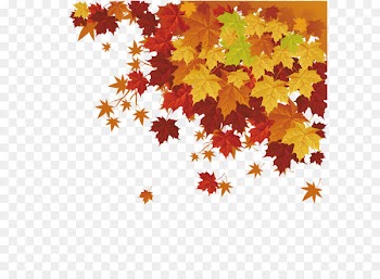 Autumn leaf color Maple leaf - Maple leaf vector 