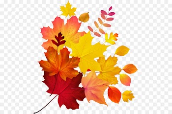 Autumn leaf color Maple leaf Royalty-free - Maple Leaf 