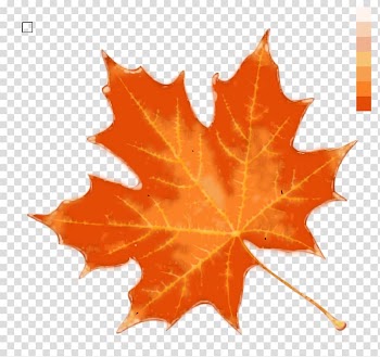 Autumn leaf color , maple transparent background PNG clipart