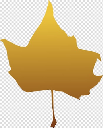Autumn leaf color , maple transparent background PNG clipart