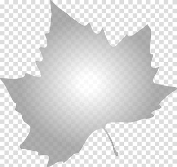 Autumn leaf color , maple transparent background PNG clipart