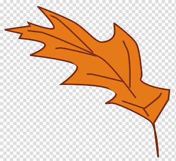 Autumn leaf color , No Falling transparent background PNG clipart