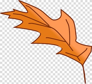 Autumn leaf color , Of Oak Leaves transparent background PNG clipart