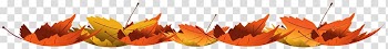 Autumn leaf color , or transparent background PNG clipart