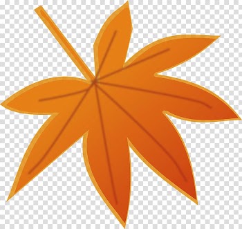 Autumn leaf color , orange colour fog transparent background PNG clipart