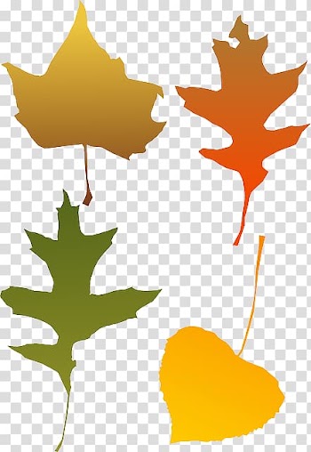 Autumn leaf color , Orange Leaves transparent background PNG clipart