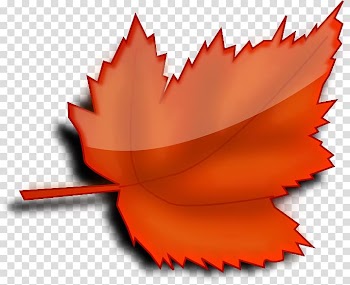 Autumn leaf color , others transparent background PNG clipart