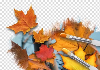 Autumn leaf color Painting , autumn transparent background PNG clipart