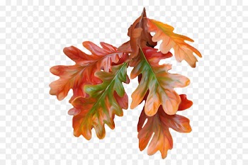 Autumn leaf color Paper Autumn leaf color - Autumn leaves 