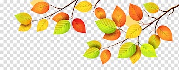 Autumn leaf color Paper, dry fruit transparent background PNG clipart