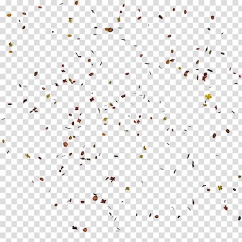Autumn leaf color Petal Flower Point, Leaf transparent background PNG clipart
