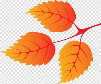 Autumn leaf color Petal, Leaf transparent background PNG clipart