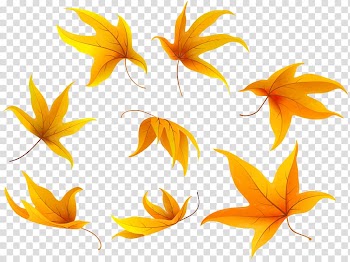 Autumn leaf color Portable Network Graphics, autumn transparent background PNG clipart