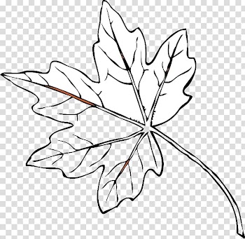 Autumn leaf color Red , Leaf transparent background PNG clipart