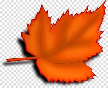 Autumn leaf color Red , leaves transparent background PNG clipart