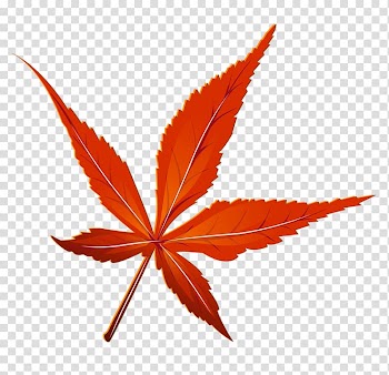 Autumn leaf color , red leaves transparent background PNG clipart
