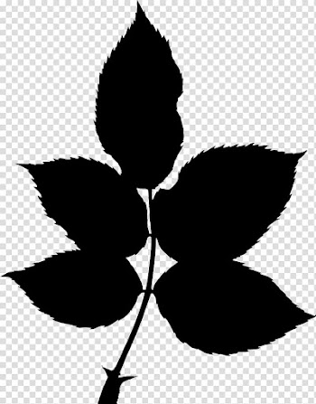 Autumn leaf color Silhouette, autumn leaves transparent background PNG clipart