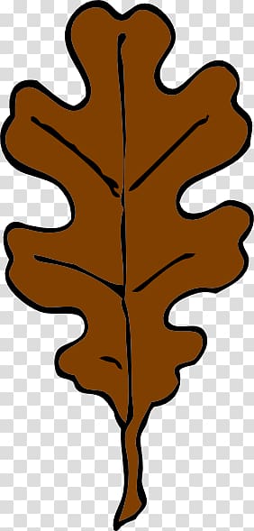 Autumn leaf color Swamp Spanish oak , brown transparent background PNG clipart