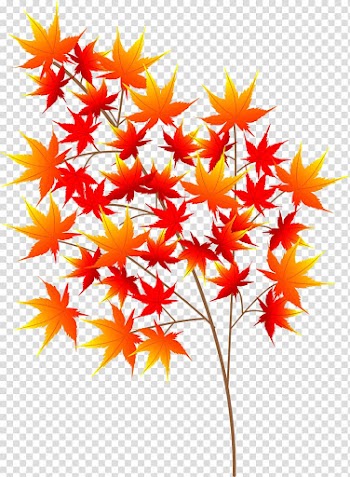 Autumn leaf color Tree Art, autumn japan transparent background PNG clipart