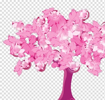 Autumn leaf color Tree, Autumn colored trees transparent background PNG clipart