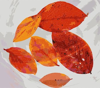 Autumn leaf color Tree, autumn leaves transparent background PNG clipart