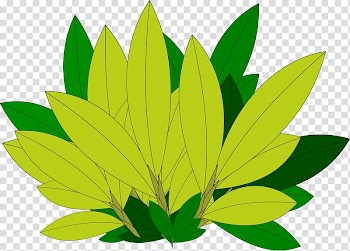 Autumn leaf color Tree Desktop , leaves transparent background PNG clipart