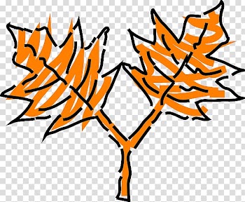 Autumn leaf color Tree Maple leaf , oak transparent background PNG clipart