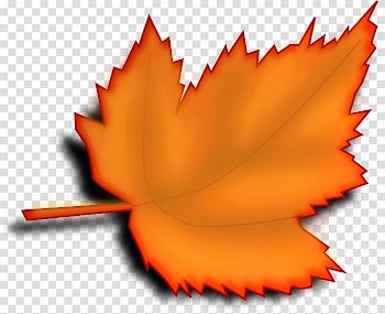 Autumn leaf color , two leaves transparent background PNG clipart