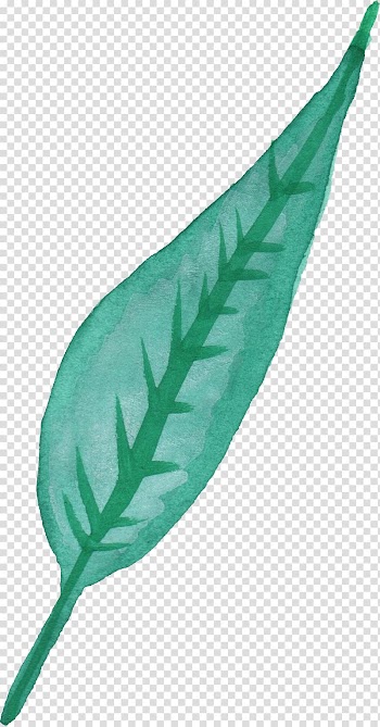 Autumn leaf color Watercolor painting, leaves watercolor transparent background PNG clipart