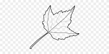 Autumn Leaf Color White Maple Leaf - Leaf Clipart Black And White