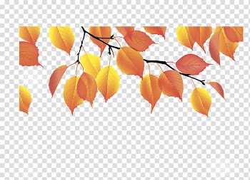 Autumn leaf color Yellow, Leaf transparent background PNG clipart
