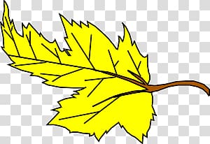 Autumn leaf color Yellow , yellow transparent background PNG clipart