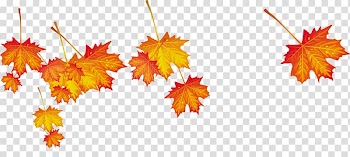 Autumn Leaf Computer file, Autumn Maple Leaf transparent background PNG clipart
