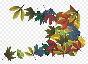 Autumn Leaf Deciduous - Black Gum